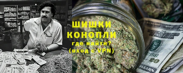 МДПВ Богородск