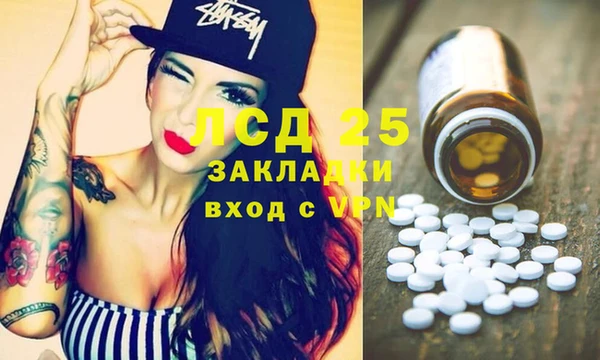 ГАЛЛЮЦИНОГЕННЫЕ ГРИБЫ Белокуриха