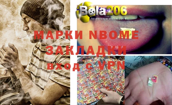 ГАЛЛЮЦИНОГЕННЫЕ ГРИБЫ Белокуриха