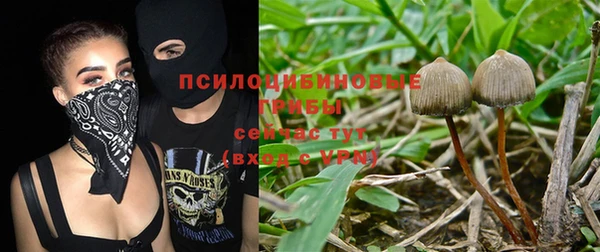 МДПВ Богородск