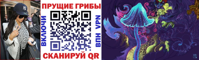 где купить наркотик  blacksprut ссылка  Псилоцибиновые грибы мухоморы  Волчанск 